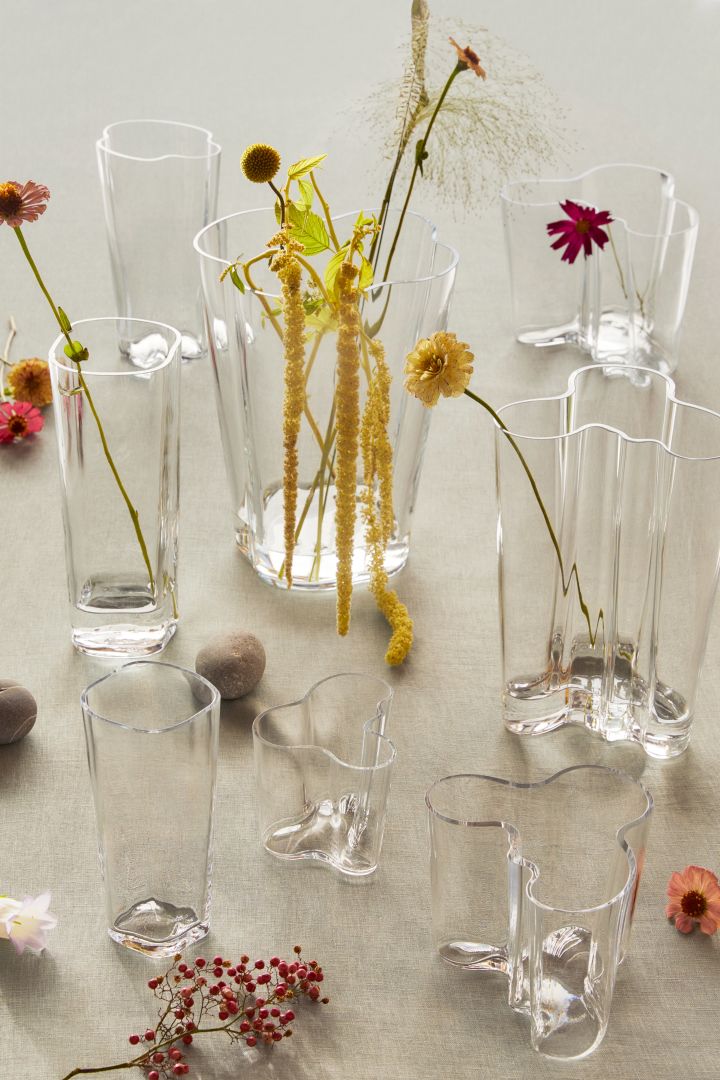 Samling av Aalto-vaser i klarglas från Iittalar, fyllda med enstaka blommor i olika färger.