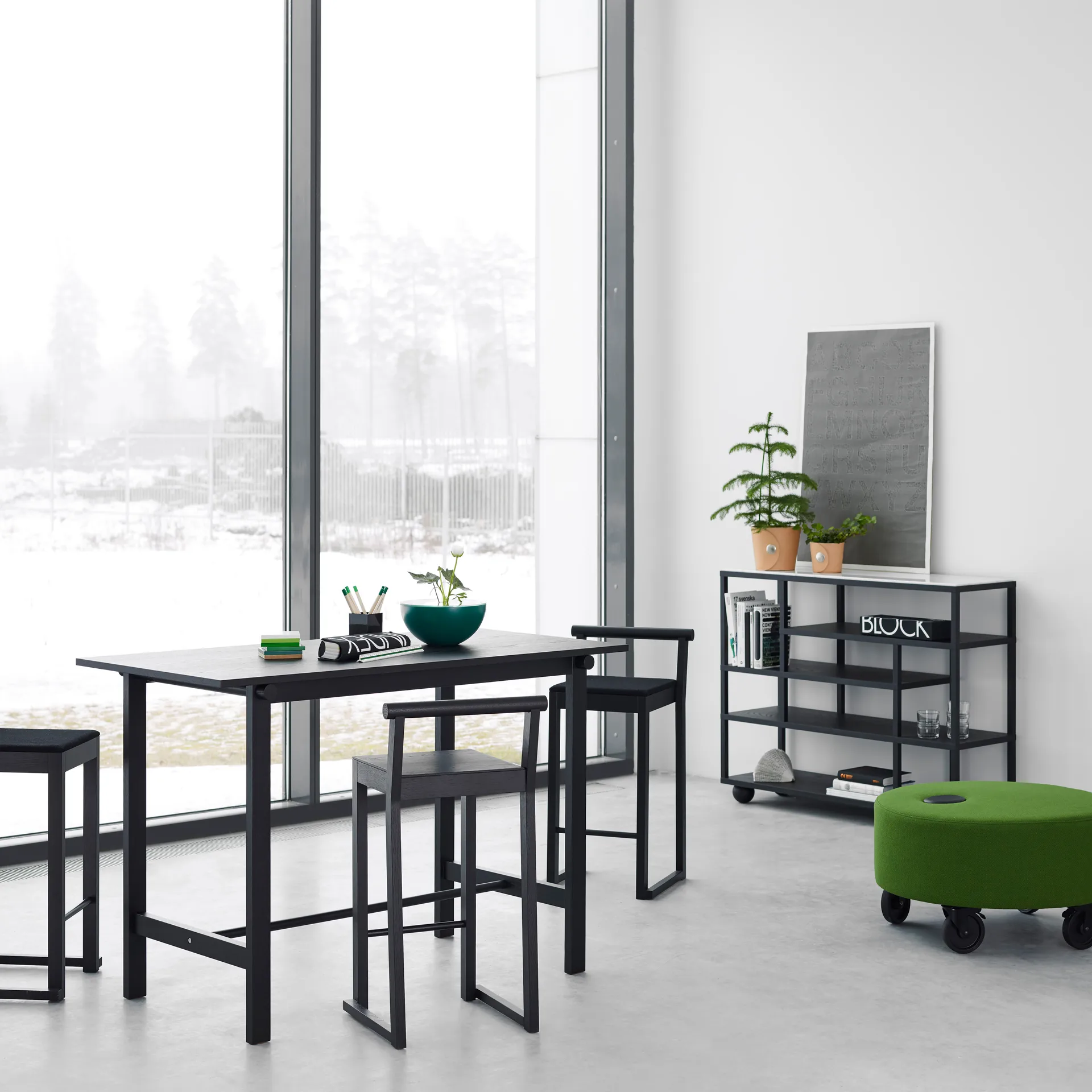 Show hylla, Svartbetsad ek A2