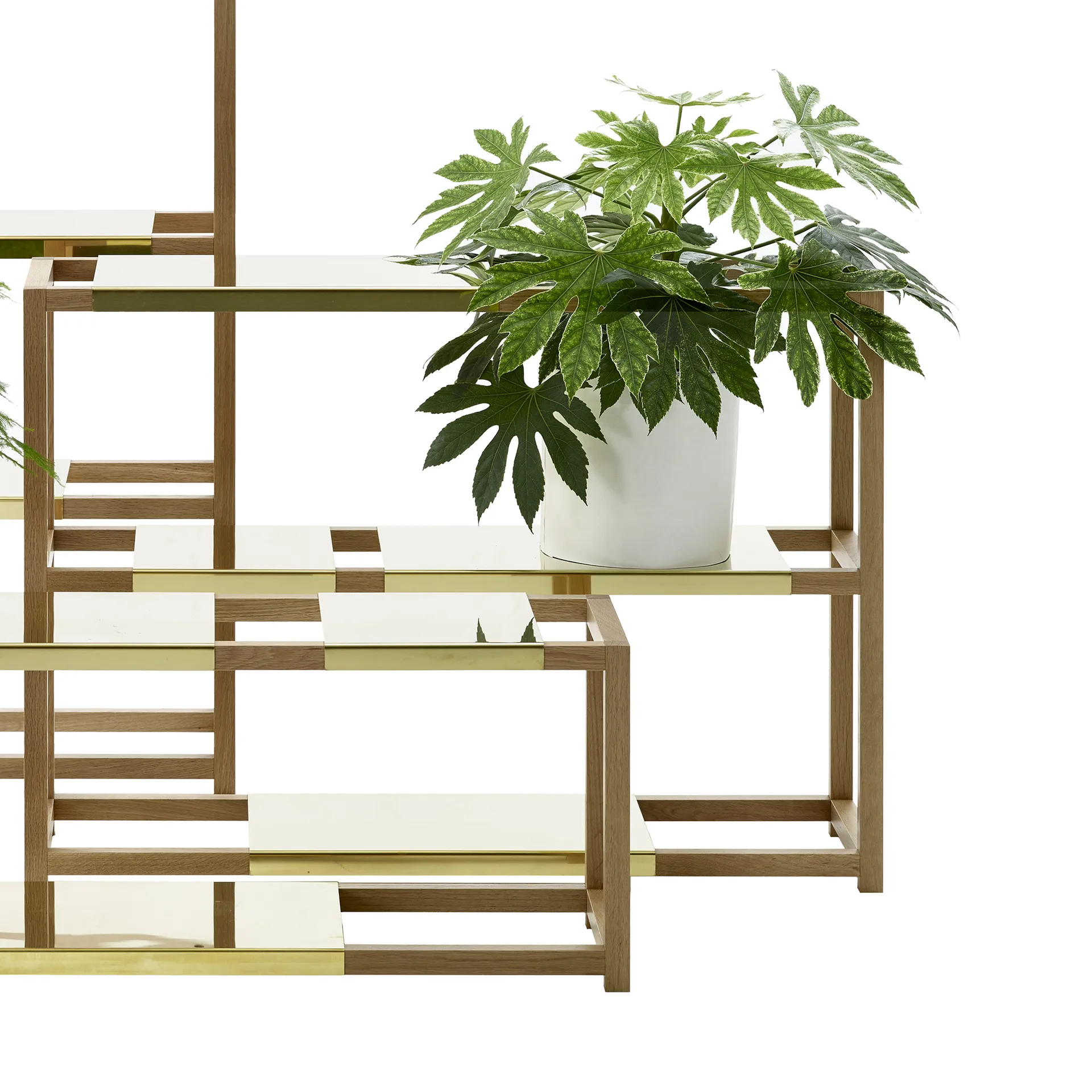 The Botanic Shelf High hylla, ek svartbetsad, svarta stålhyllor Adea