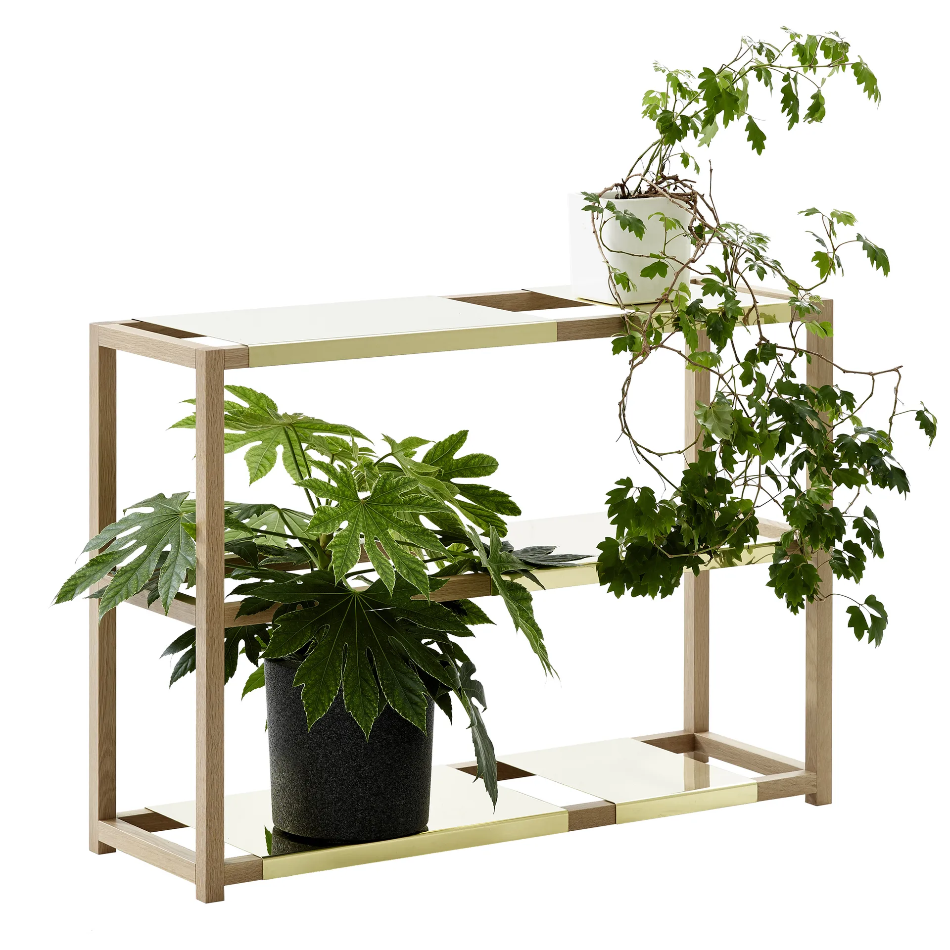 The Botanic Shelf High hylla, ek svartbetsad, svarta stålhyllor Adea