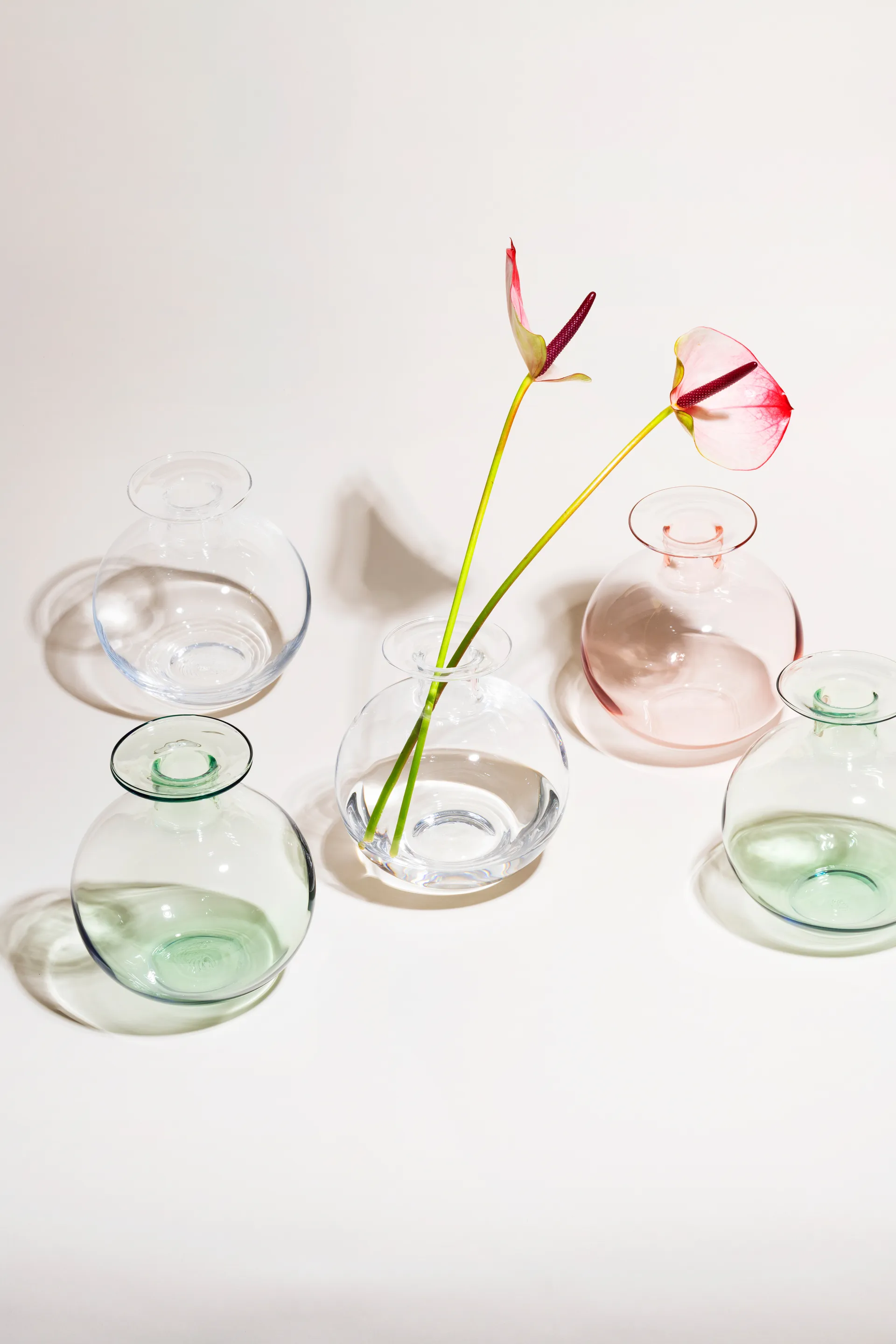 Vuokko vas 18 cm, Laxrosa Arabia