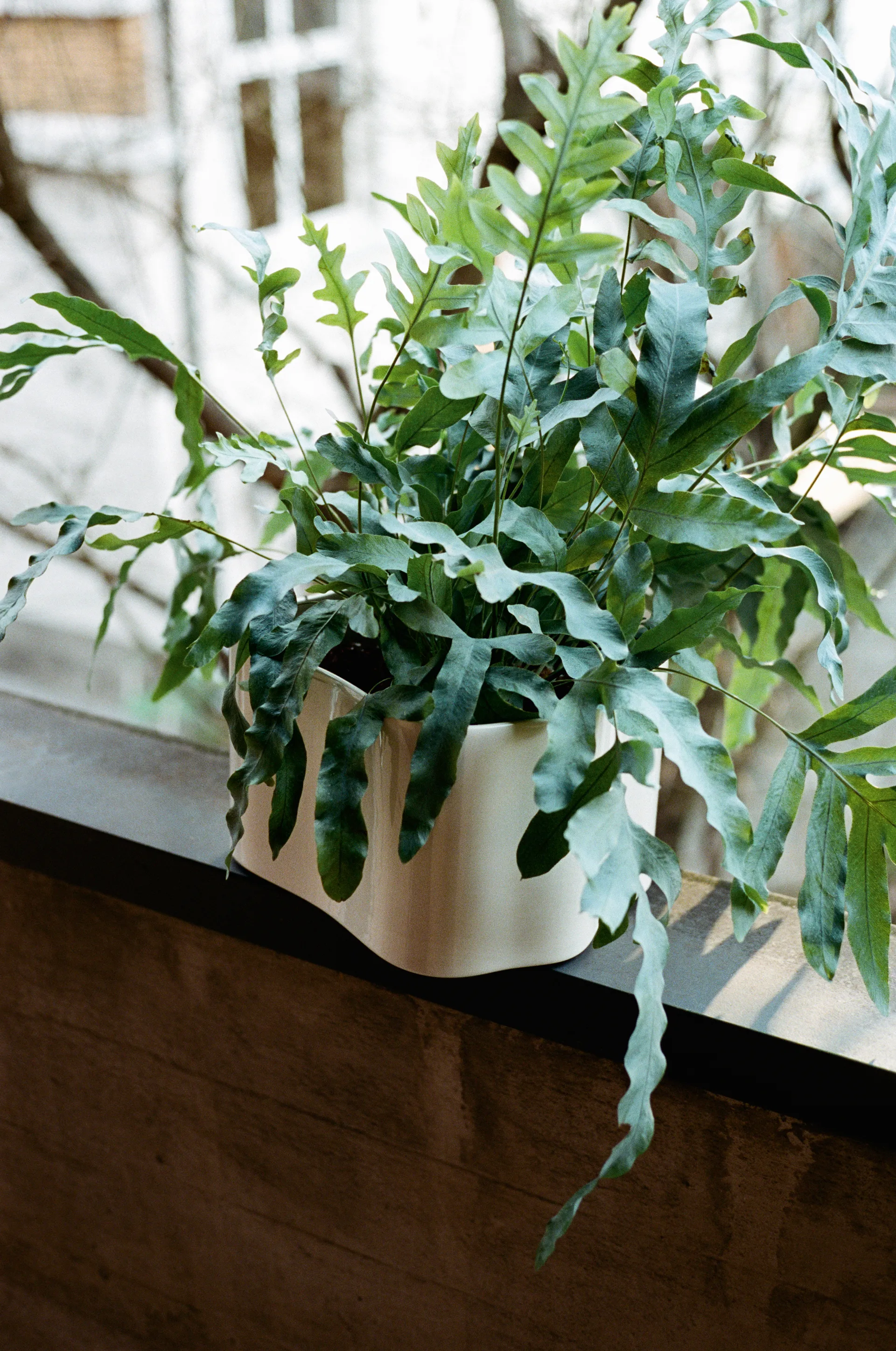 Riihitie kruka modell B medium, White Artek