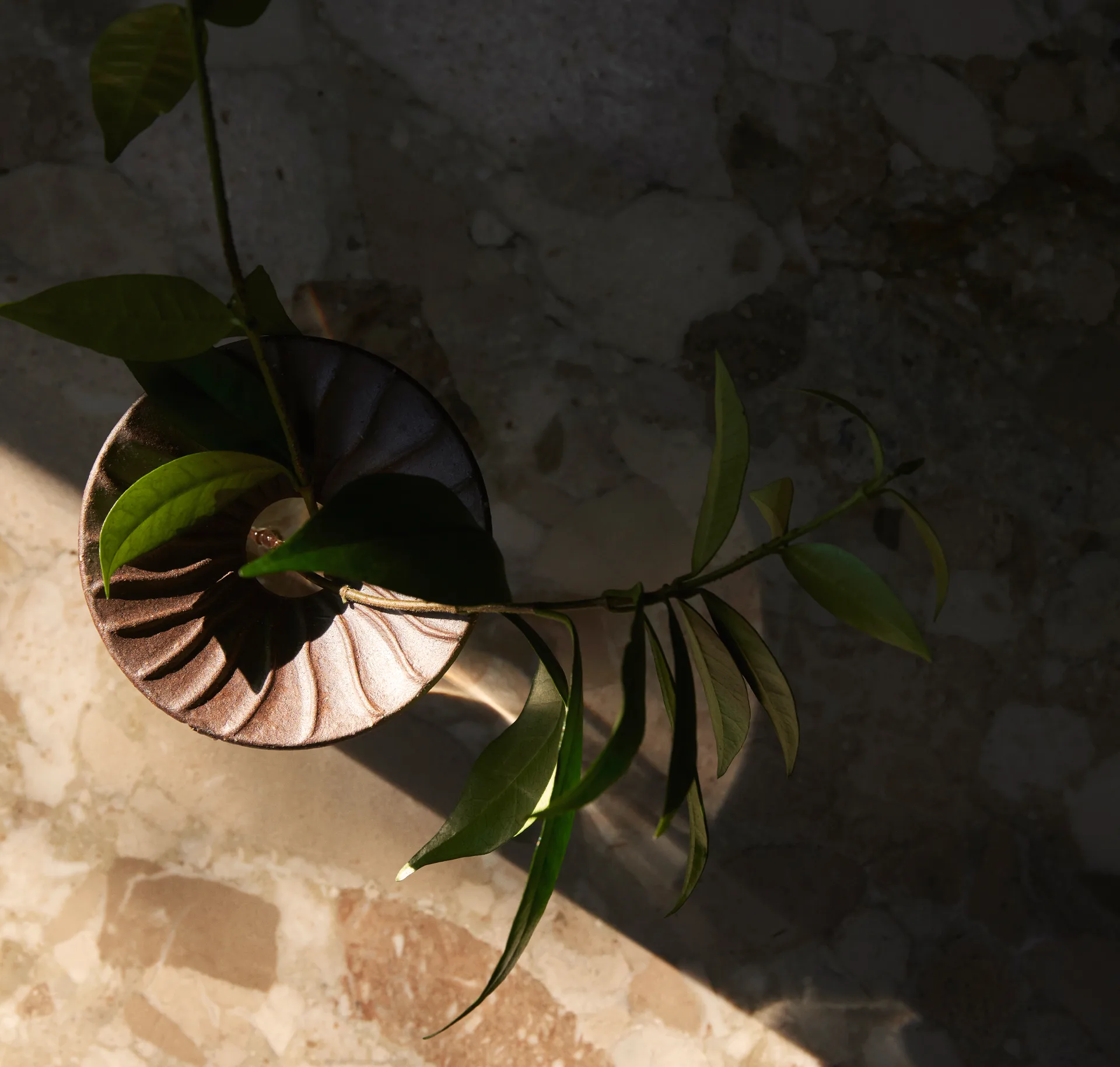 Cresco Propagation vas 2 delar, Brun-klar Audo Copenhagen