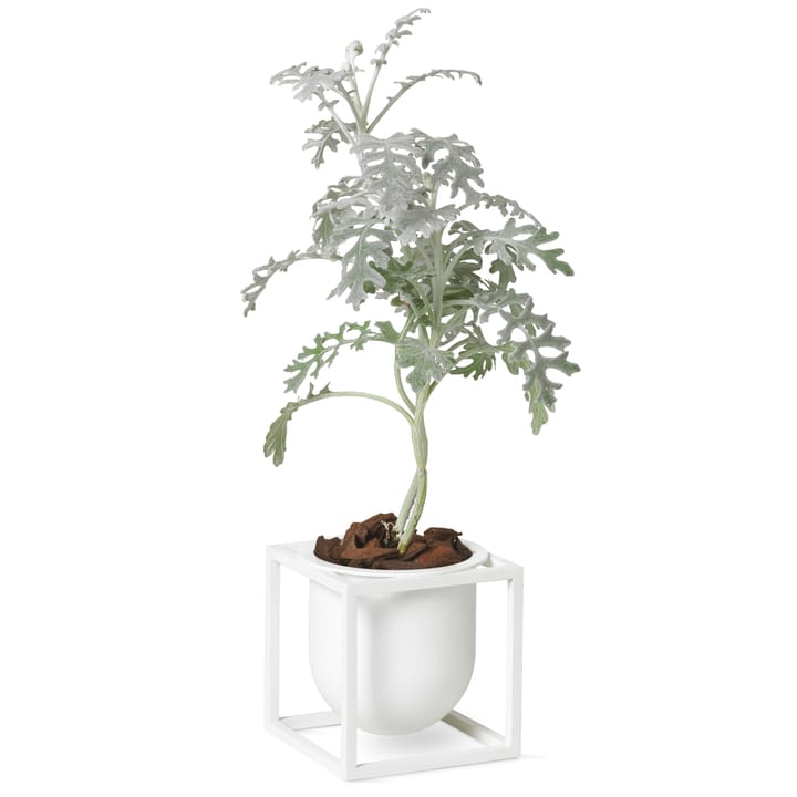 Kubus blomkruka 10 cm, Vit Audo Copenhagen