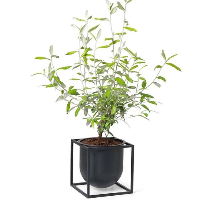 Kubus blomkruka 14 cm, Svart Audo Copenhagen