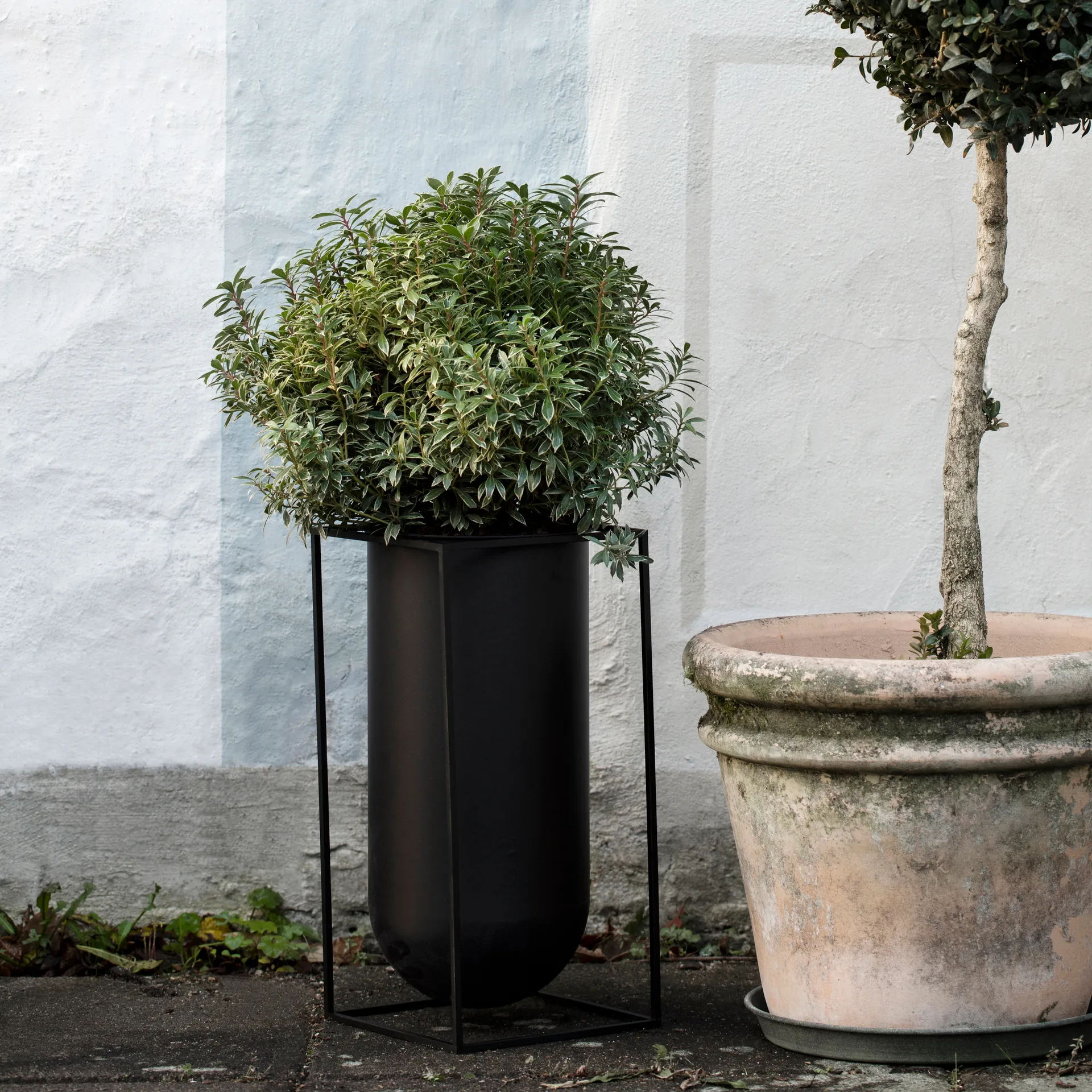 Kubus vas Nolia, Svart Audo Copenhagen