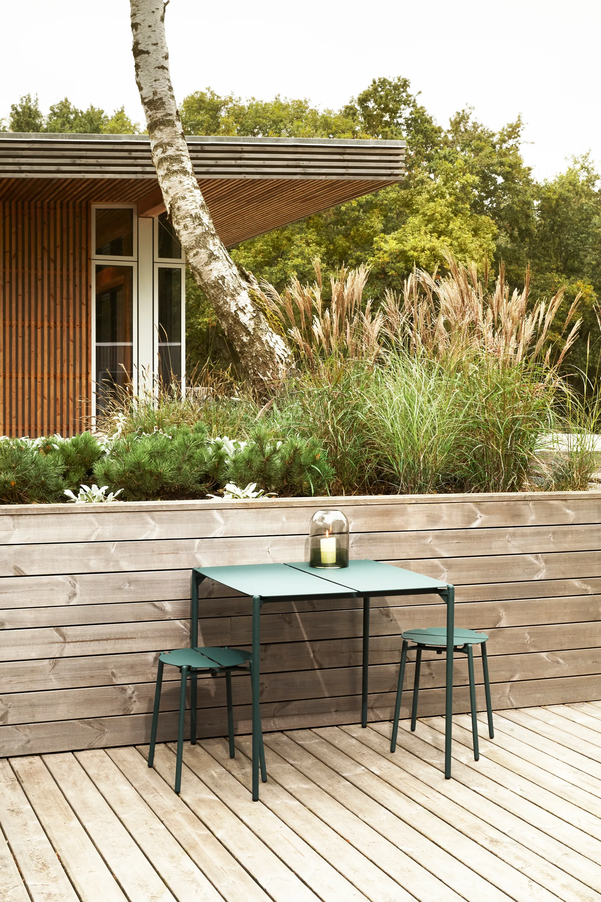 NOVO pall, Forest AYTM