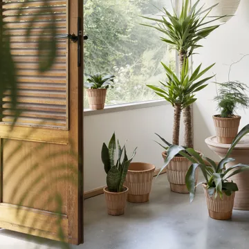 Atlas raw kruka med fat - Rosa, Ø16 cm - Bergs Potter