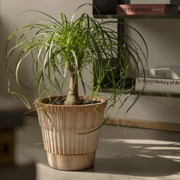 Atlas raw kruka med fat - Rosa, Ø25 cm - Bergs Potter