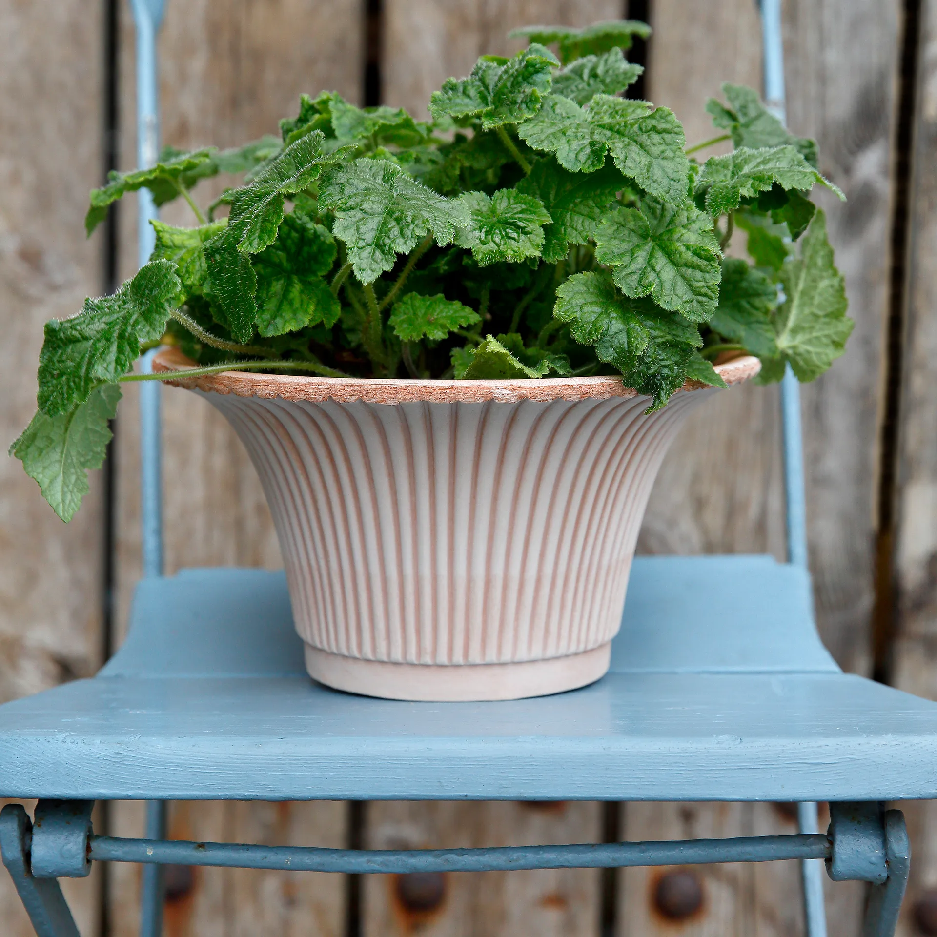 Daisy kruka Ø25 cm, Rosa Bergs Potter