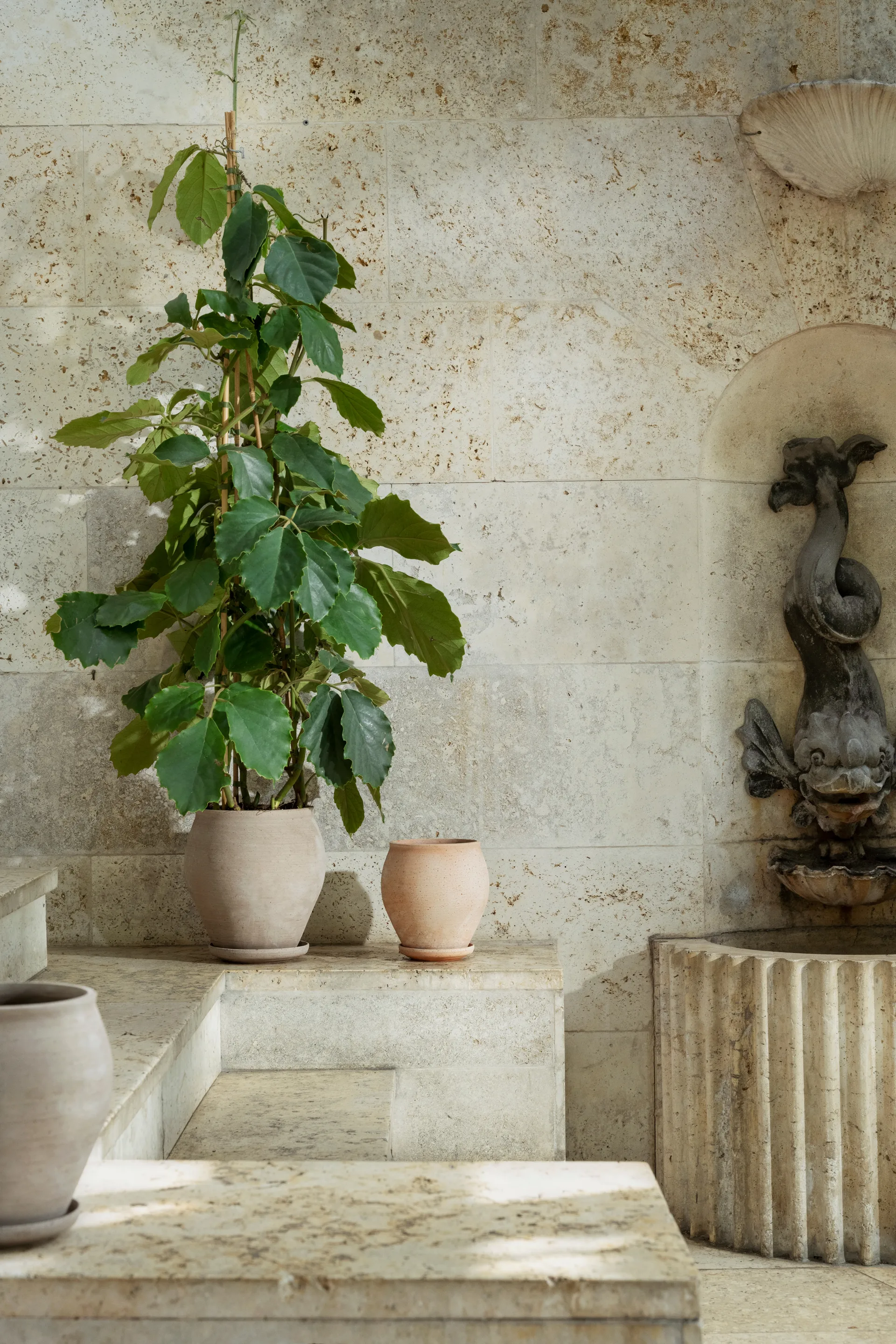 Delphi kruka med fat 2 delar, Grey, Ø26 cm Bergs Potter