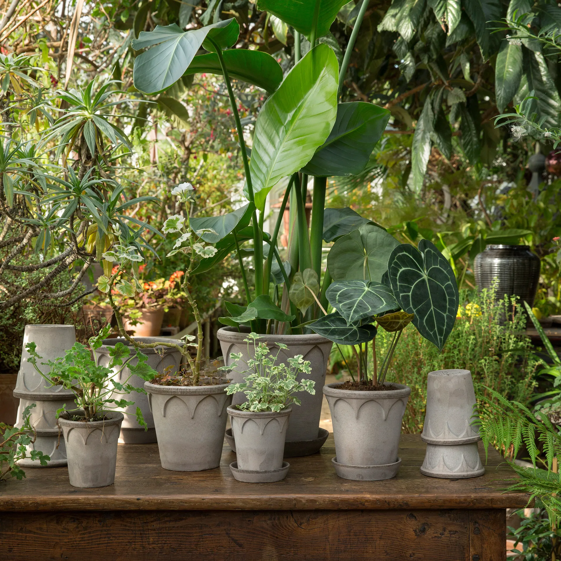 Elizabeth kruka Ø12 cm, Grey Bergs Potter