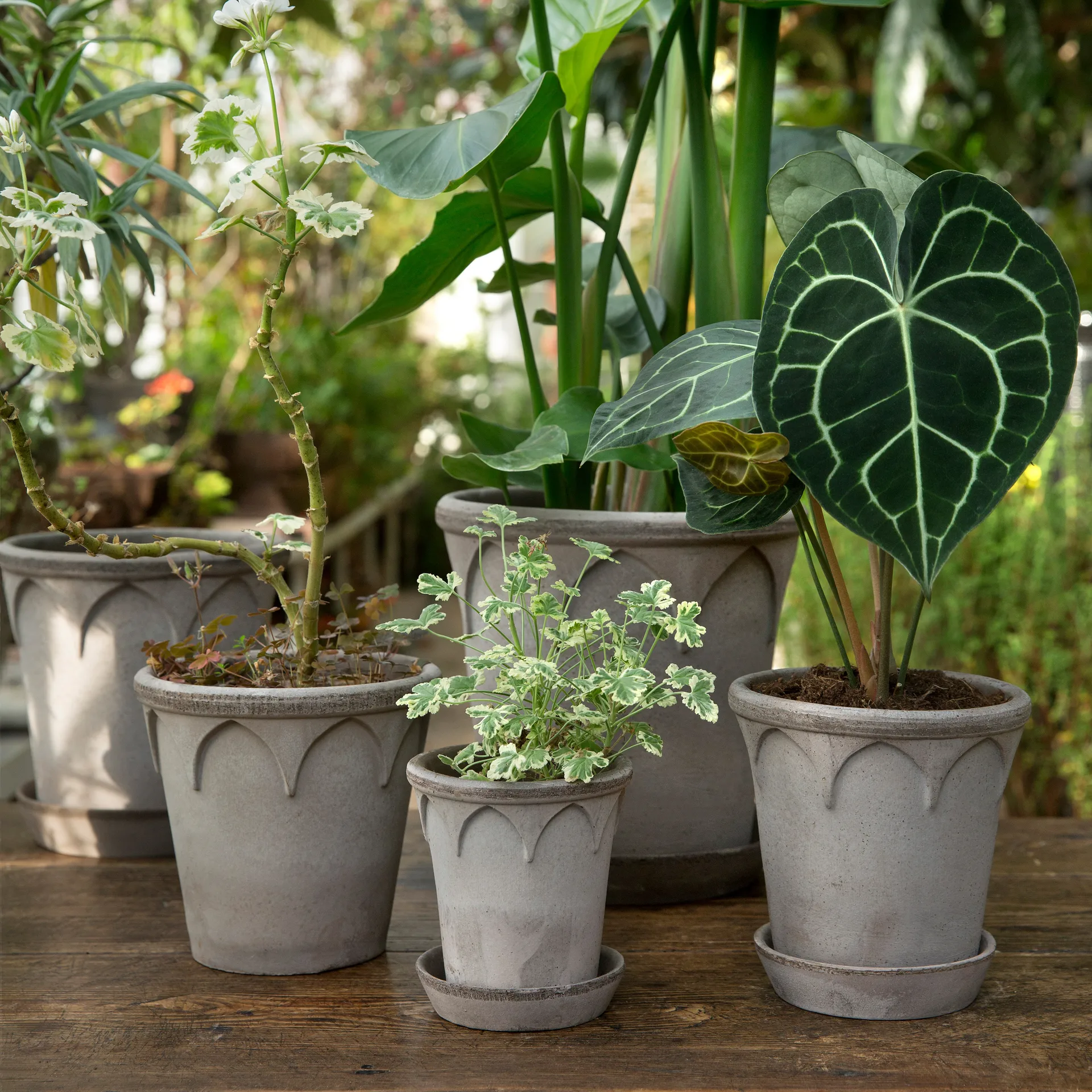 Elizabeth kruka Ø21 cm, Grey Bergs Potter