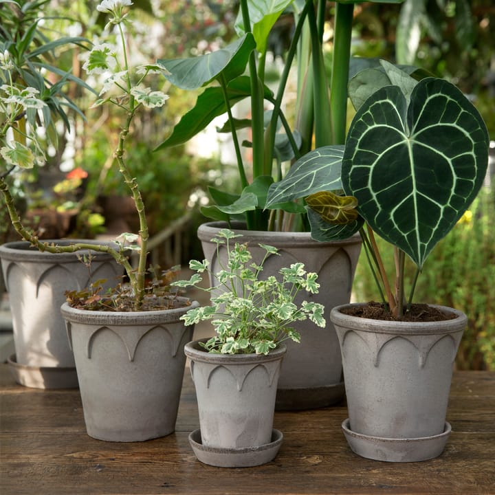 Elizabeth kruka Ø21 cm, Grey Bergs Potter