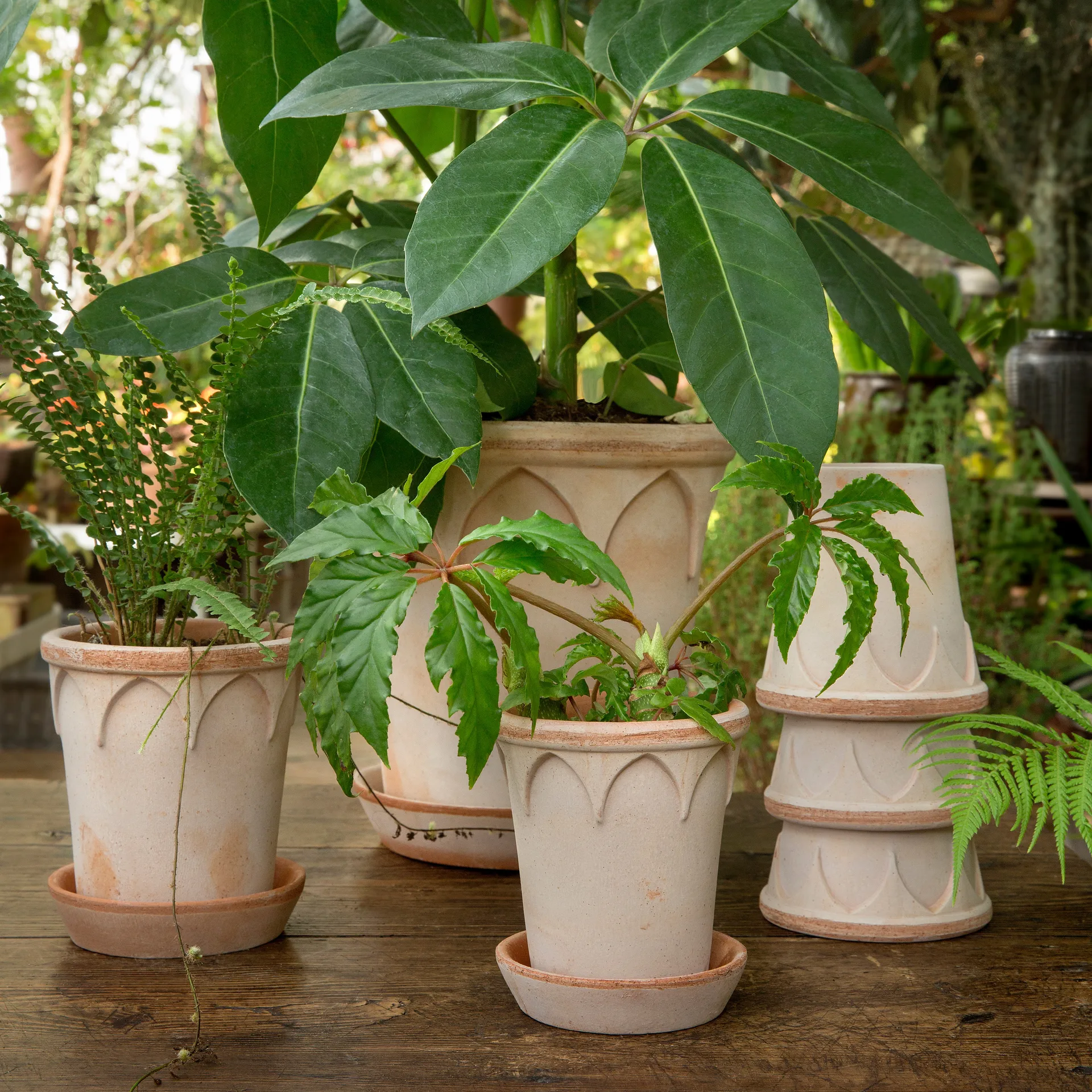 Elizabeth kruka Ø25 cm, Rose Bergs Potter