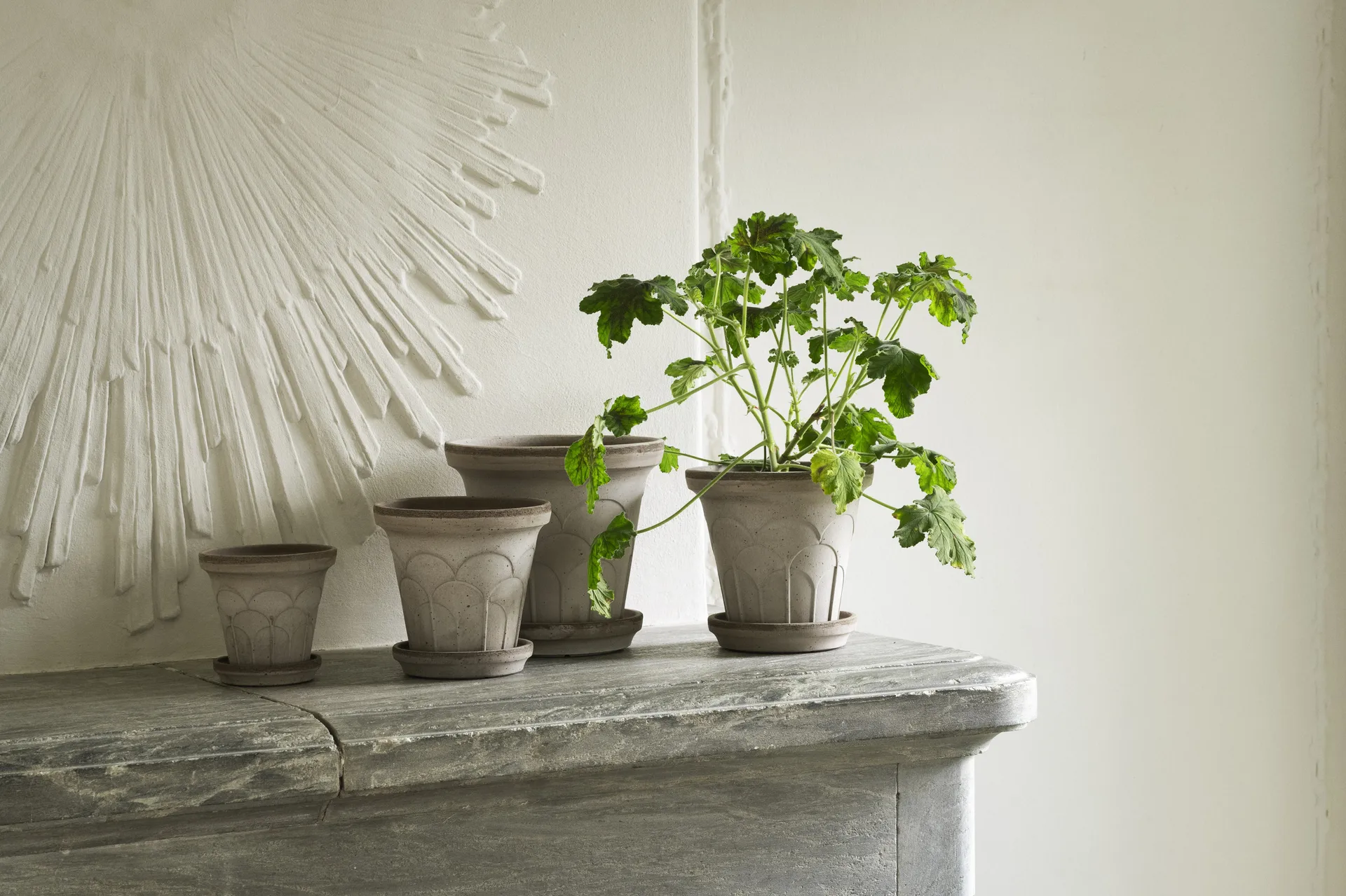 Fleur kruka med fat 2 delar, Grey, Ø12 cm Bergs Potter