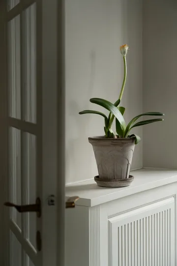 Fleur kruka med fat 2 delar - Grey, Ø18 cm - Bergs Potter