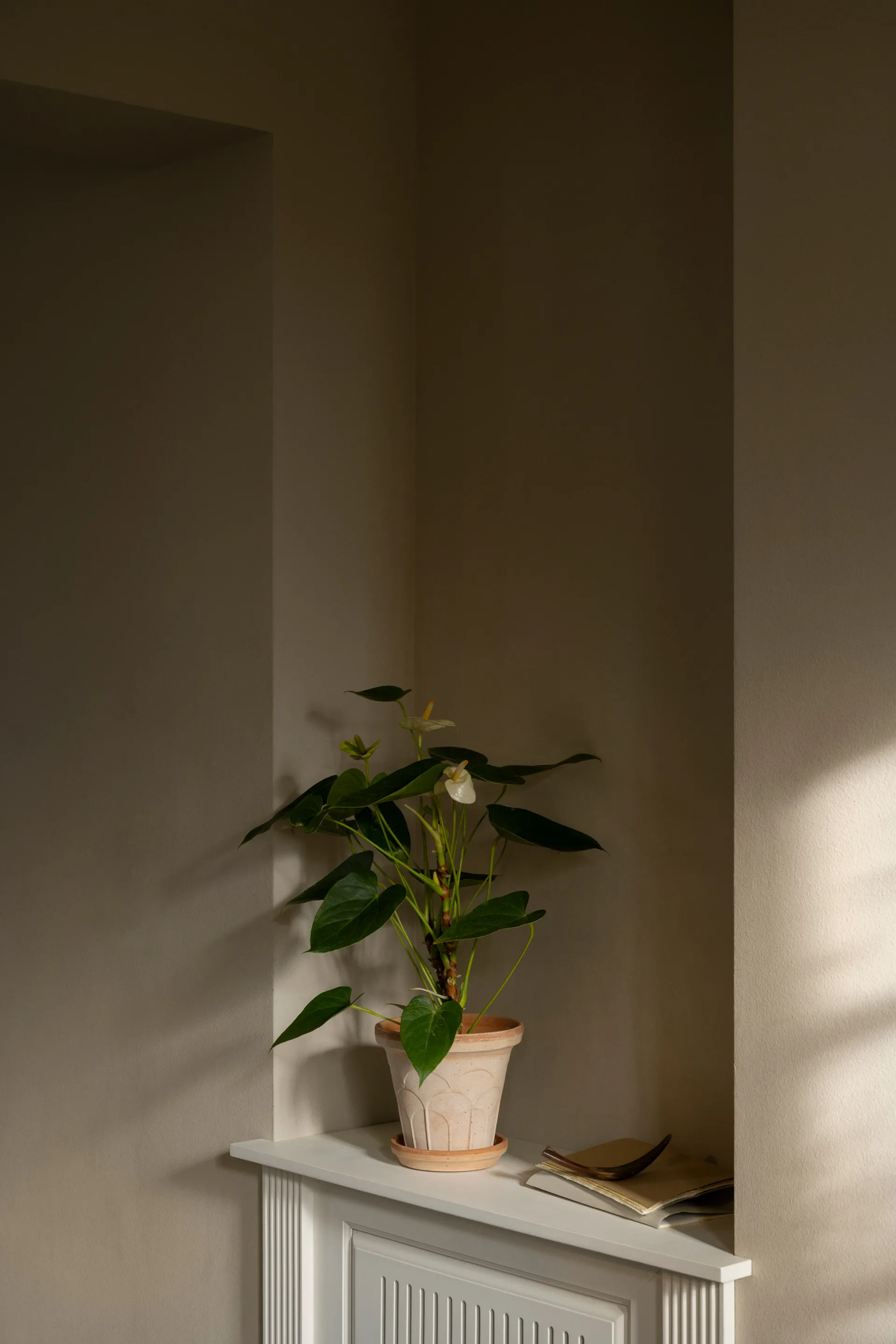 Fleur kruka med fat 2 delar, Rosa, Ø16 cm Bergs Potter