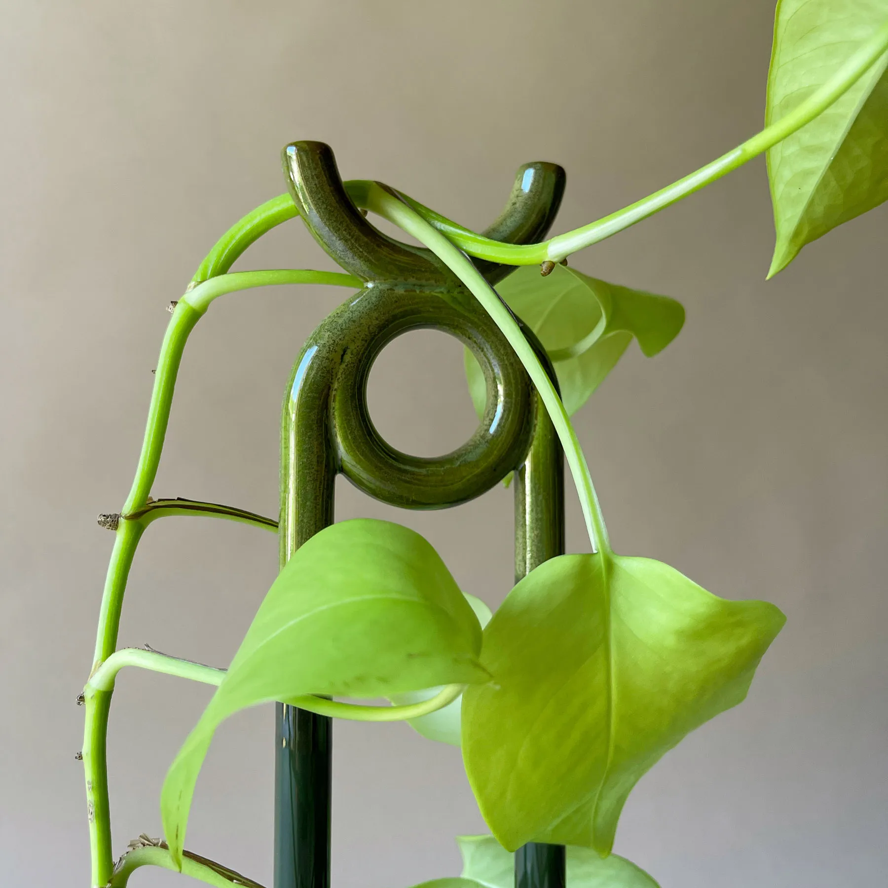 Folk Oni växtstöd, Moss green Bergs Potter