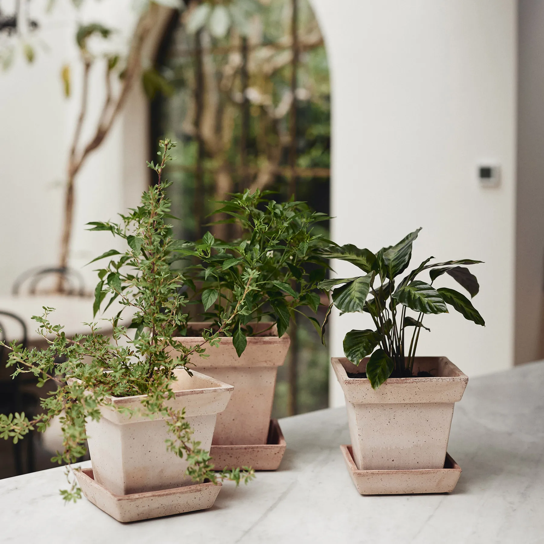 Gaia raw kruka, Rosa, 21x21 cm Bergs Potter