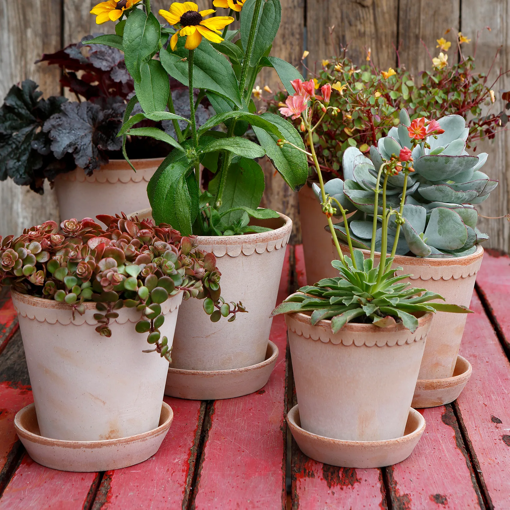 Helena kruka Ø10 cm, Rosa Bergs Potter