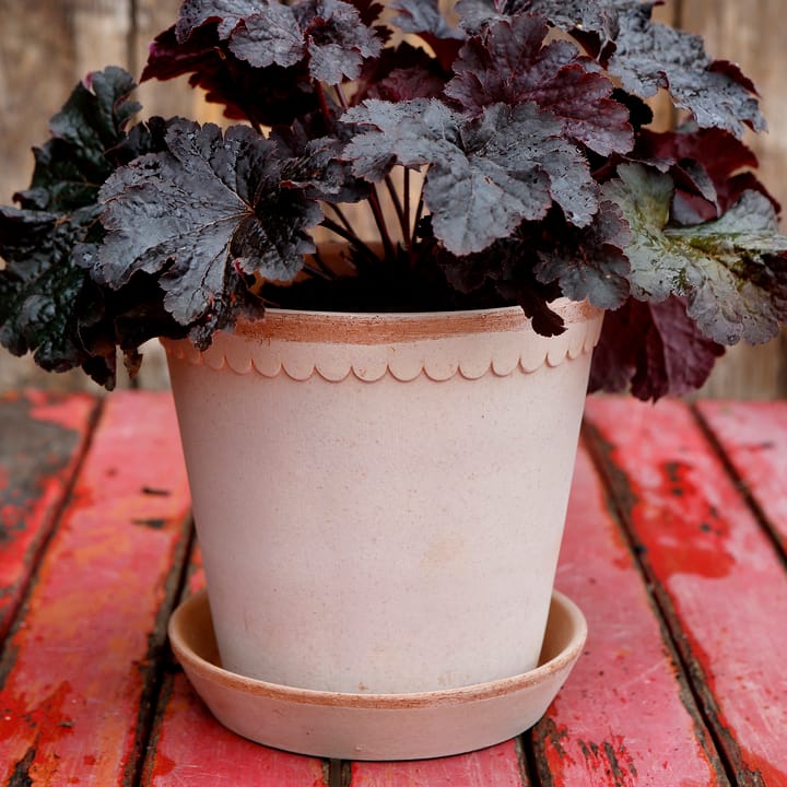 Helena kruka Ø21 cm, Rosa Bergs Potter