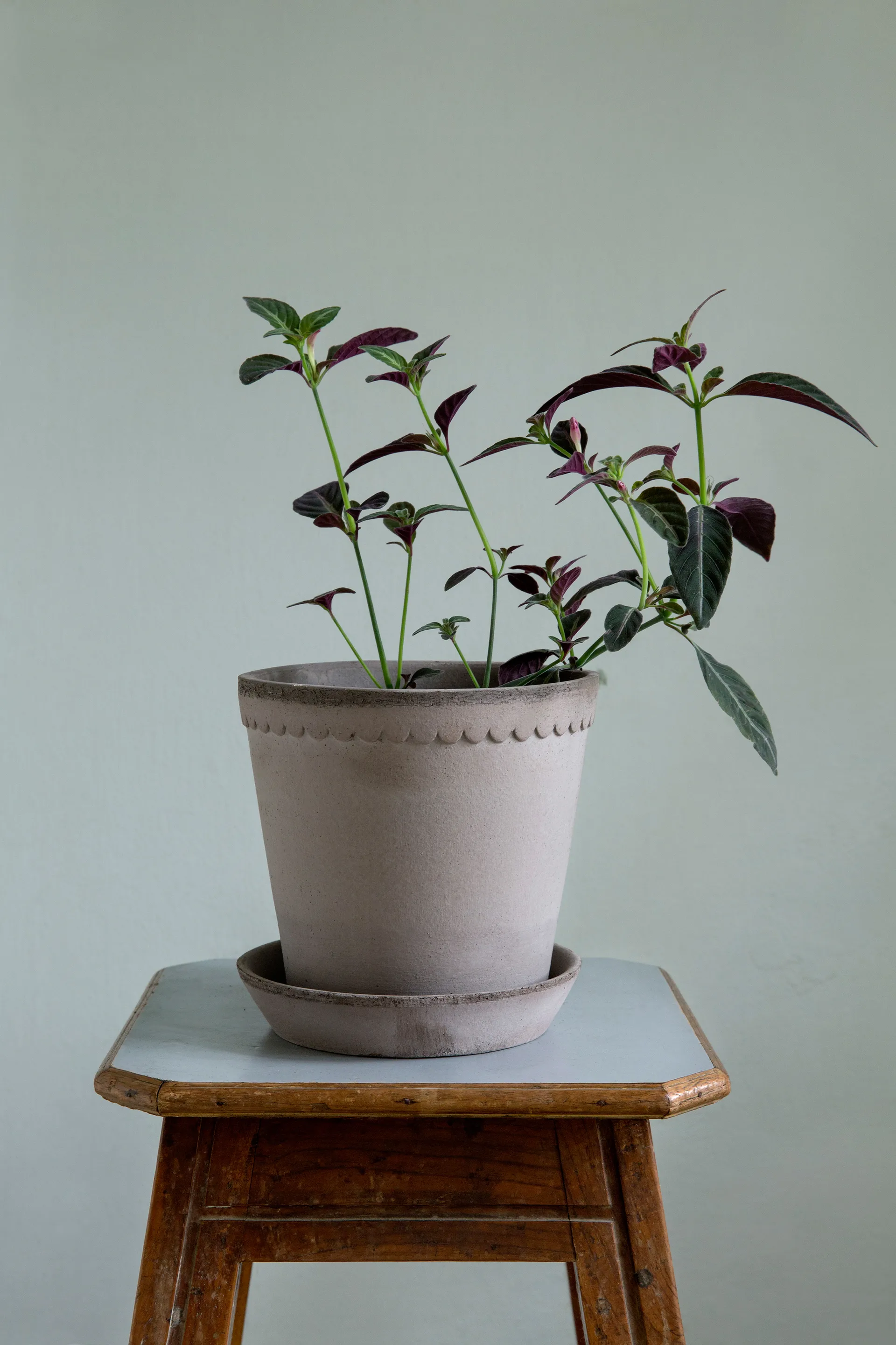 Helena kruka Ø25 cm, Grå Bergs Potter