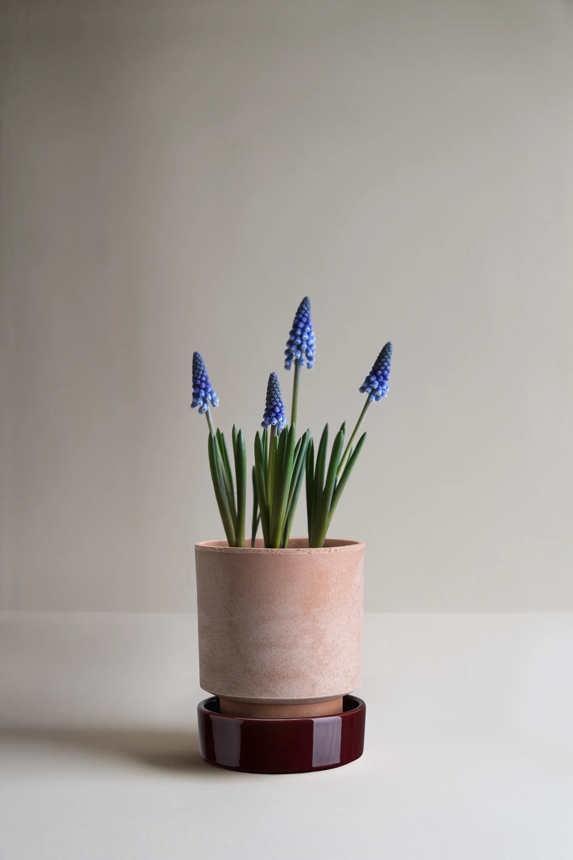 Hoff kruka, Ø14 cm, Raw Rosa-Deep Burgundy Bergs Potter