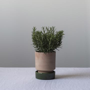 Hoff kruka - Ø18 cm, Raw Rosa-Emerald Green - Bergs Potter