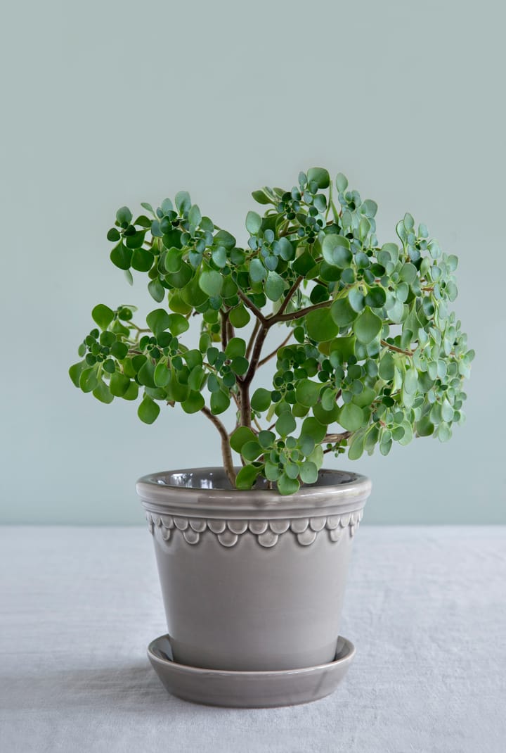 Köpenhamn kruka glaserad Ø16 cm, Grey Bergs Potter