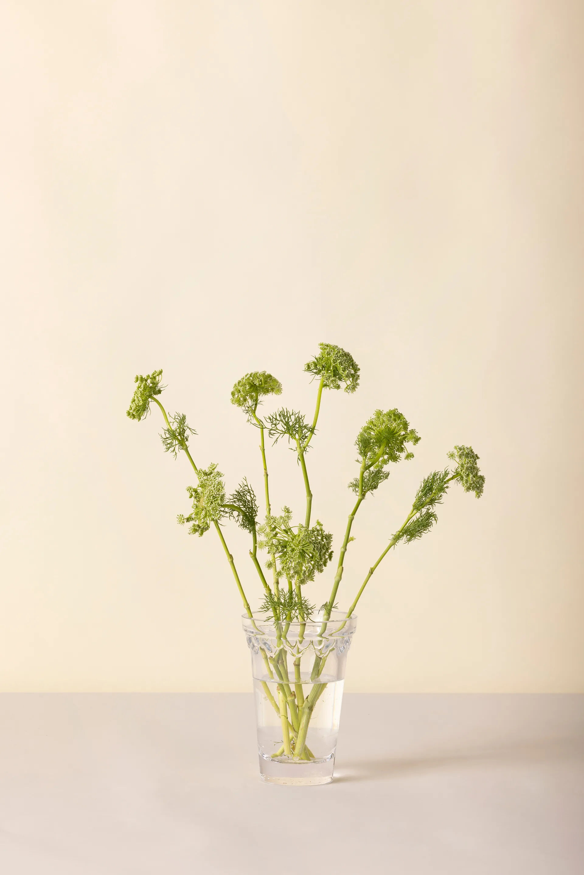 Köpenhamn vas, Klar, 18,5 cm Bergs Potter