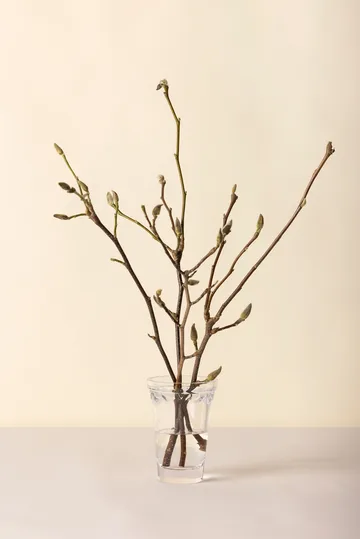 Köpenhamn vas - Klar, 18,5 cm - Bergs Potter