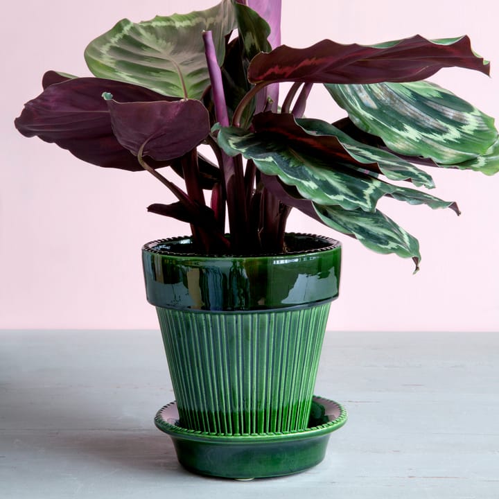 Simona kruka glaserad Ø16 cm, Grön Bergs Potter