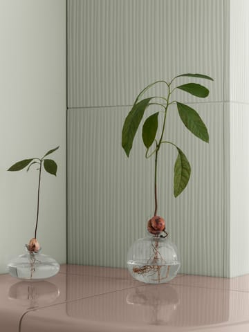 Avo vas 14,5 cm - Klar - blomus