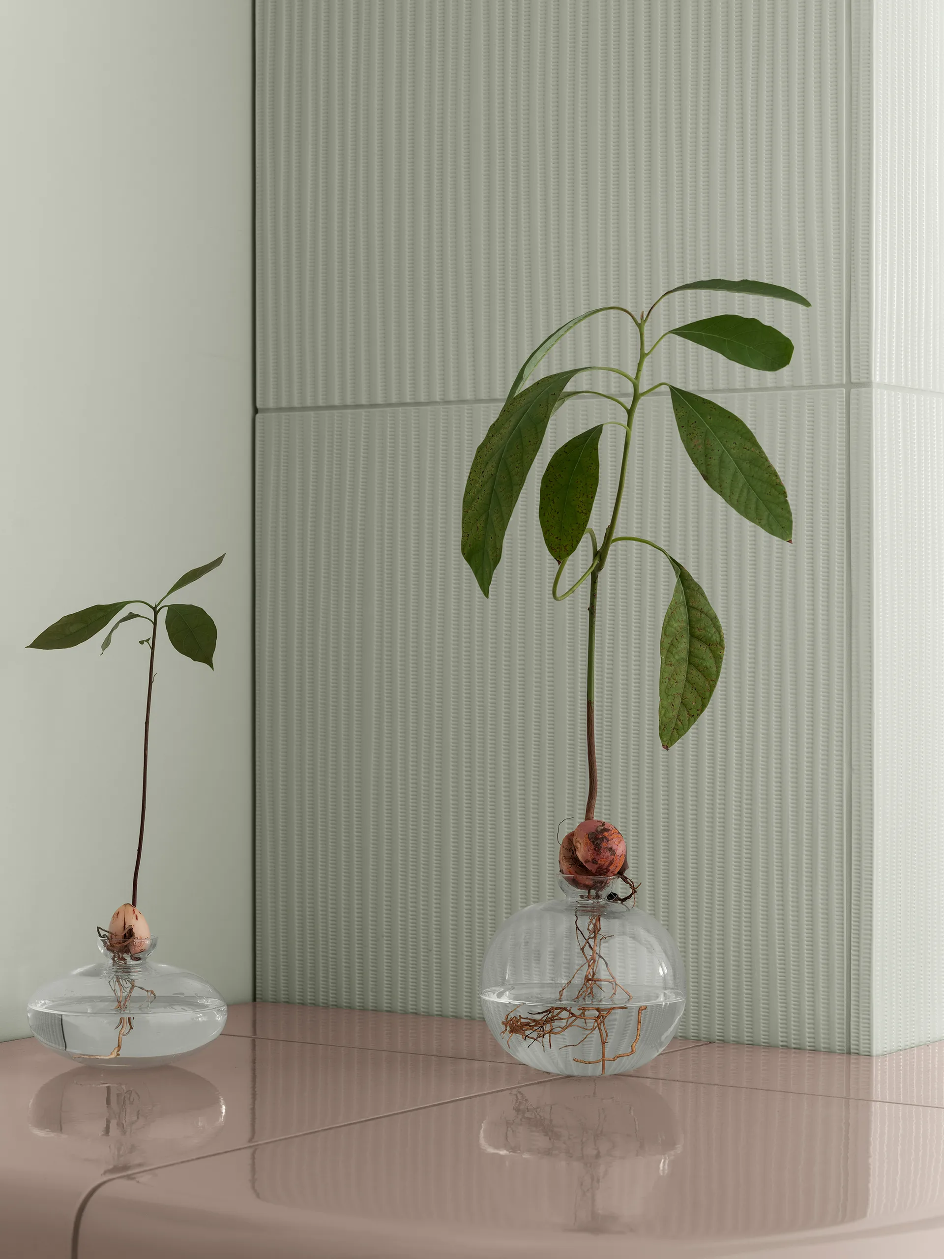 Avo vas 9,5 cm, Klar blomus