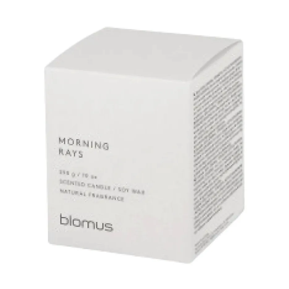 Fraga doftljus 55 timmar, Morning Ray Moonbeam blomus