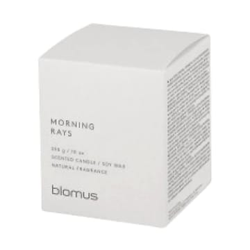 Fraga doftljus 55 timmar - Morning Ray Moonbeam - blomus