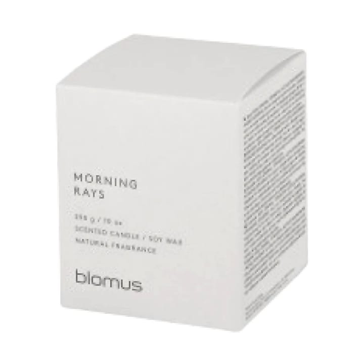 Fraga doftljus 55 timmar, Morning Ray Moonbeam blomus