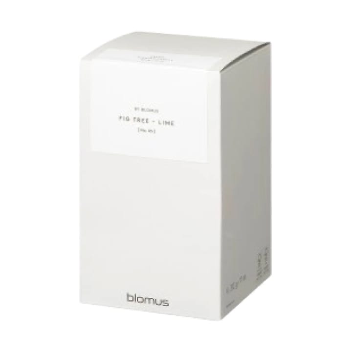 Valoa doftljus 45 timmar, Fikon/Lime Agave Green blomus