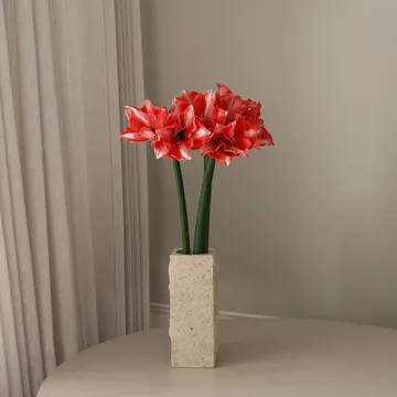 Amaryllis konstgjord blomma - Mörkröd, 72 cm - Botané