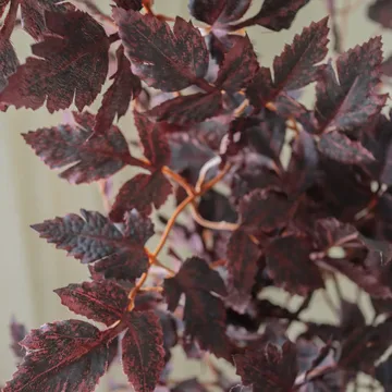 Burgundy Plum Leaves konstgjord bukett - Red, 85 cm, 1 st - Botané