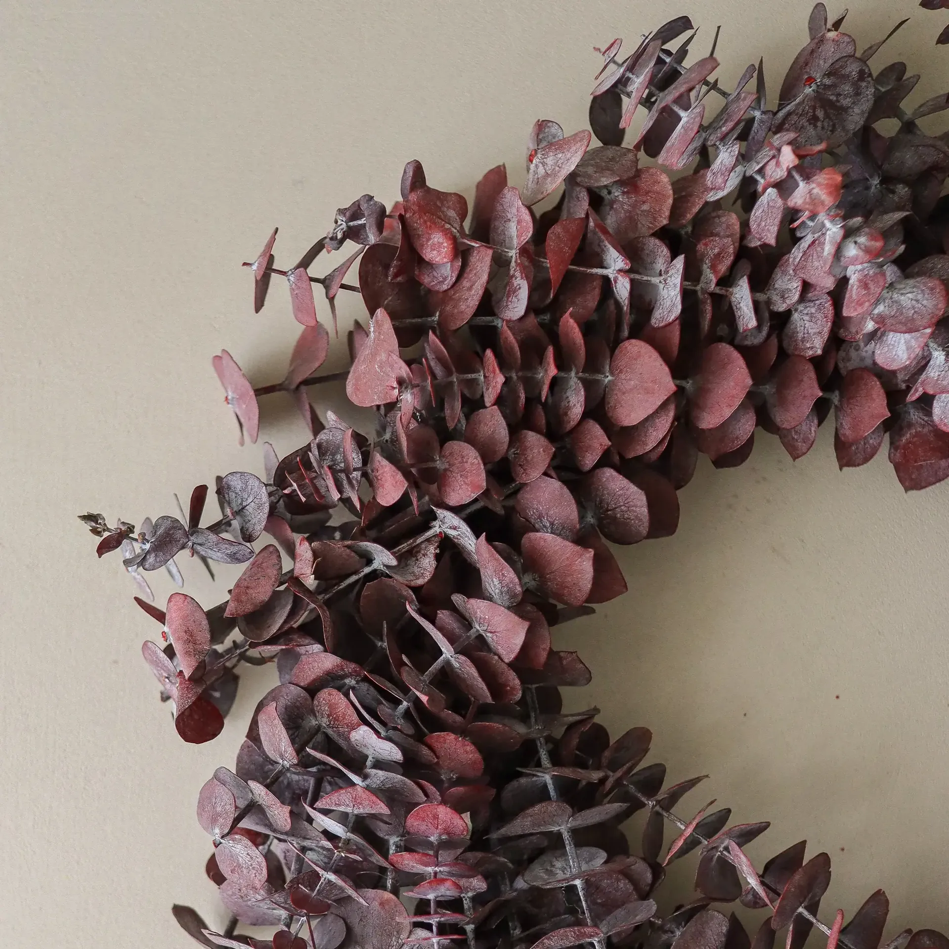 Eucalyptus Wreath krans, Dark red, Ø40 cm Botané