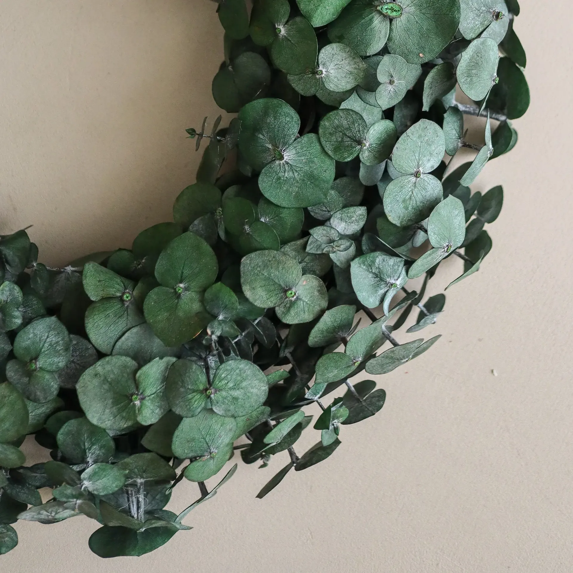 Eucalyptus Wreath krans, Green, Ø40 cm Botané