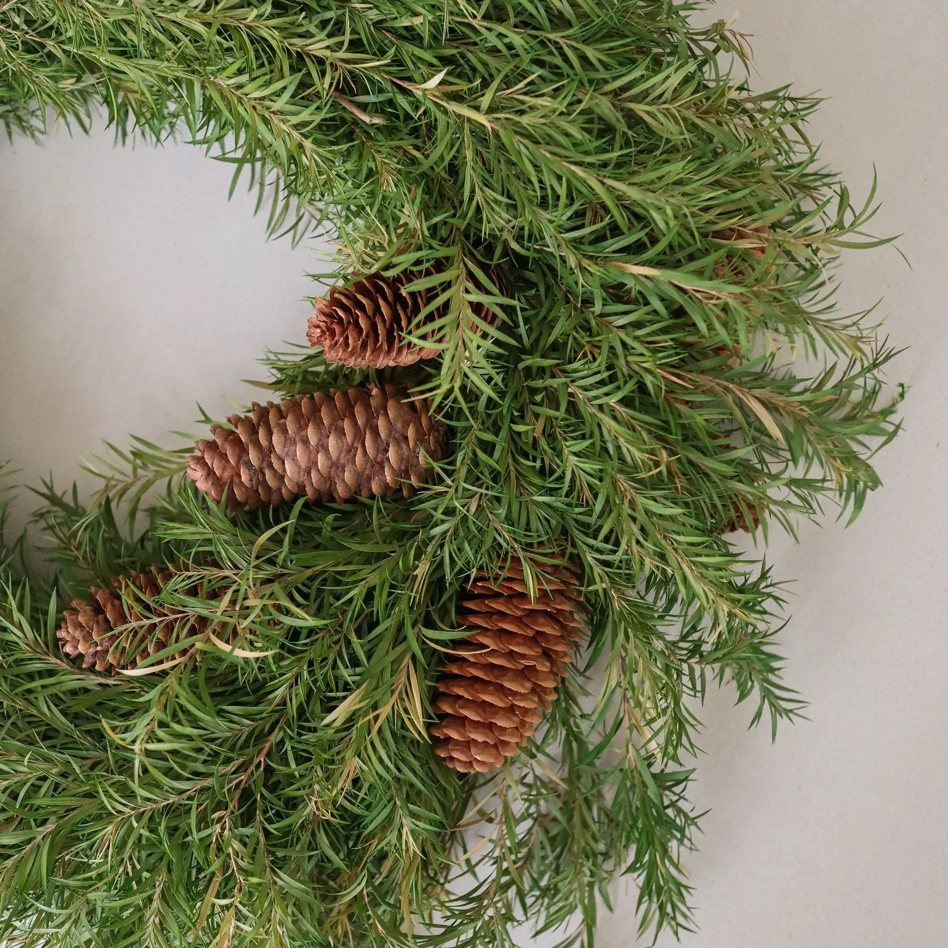 Evergreen Pine Wreath krans, Granris, Ø40 cm Botané