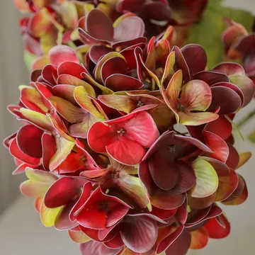 Hortensia konstgjord blomma - Deep burgundy, 60 cm, 1 st - Botané