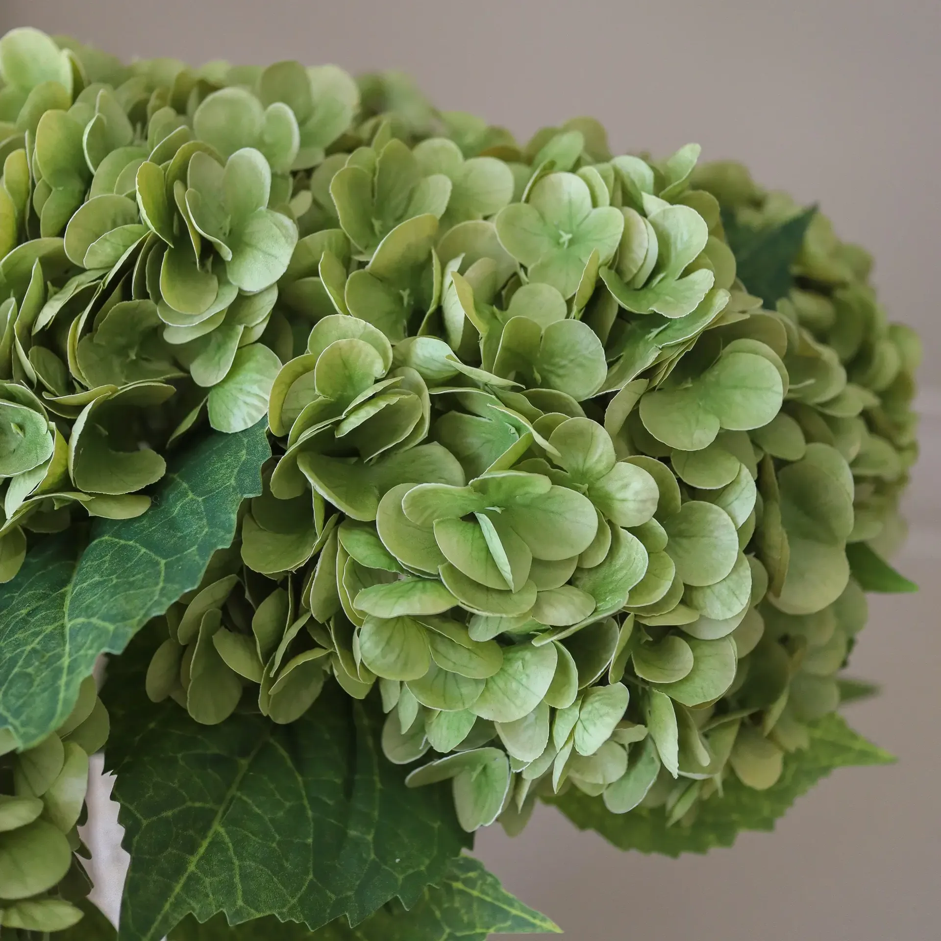 Hortensia konstgjord bukett, Moss green, 51 cm, 6 st Botané