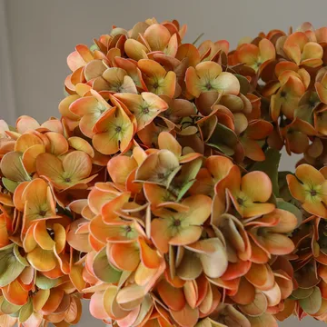 Hortensia konstgjord bukett - Orange, 60 cm, 6 st - Botané