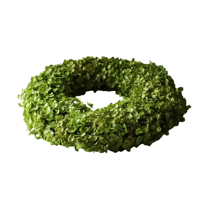 Hortensia Wreath blomkrans - Light green, Ø40 cm - Botané