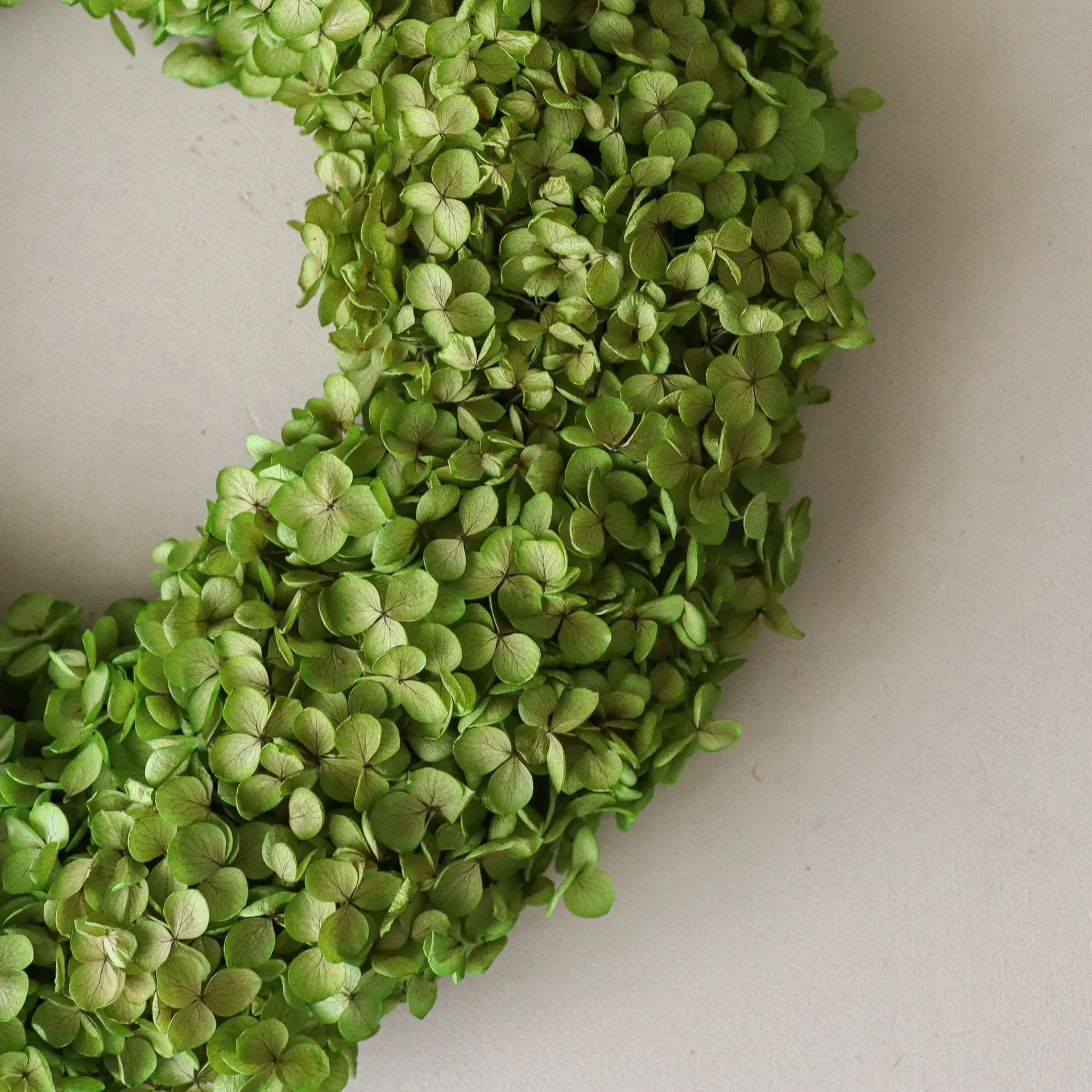 Hortensia Wreath blomkrans, Light green, Ø40 cm Botané
