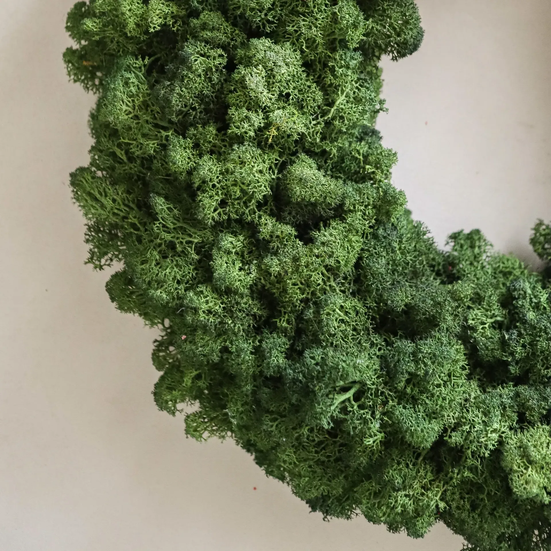 Moss Wreath mosskrans, Green, Ø40 cm Botané